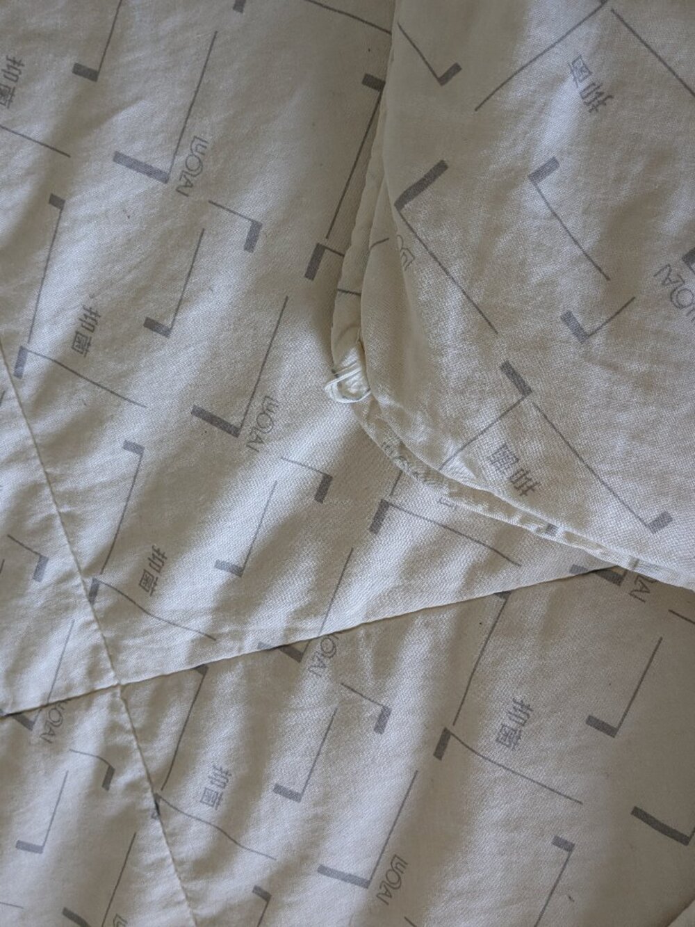 LUOLAI 100% Silk Comforter – Queen Size